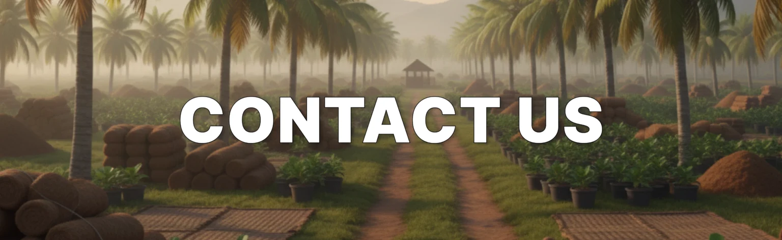 contact us
