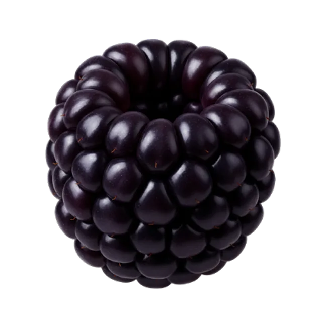 Blackberries